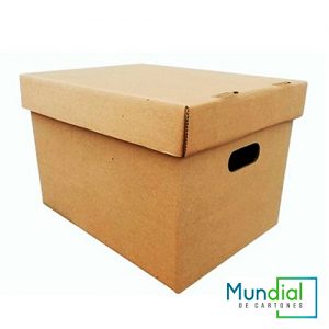 CAJA-DE-ARCHIVO-X300-2