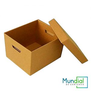 CAJA-DE-ARCHIVO-X300