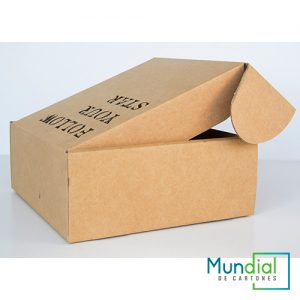 CAJA-TROQUELADA-TIPO-COFRE-3